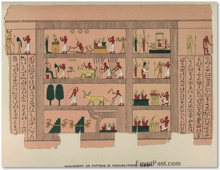 manuscript in hieroglyphics on papyrus