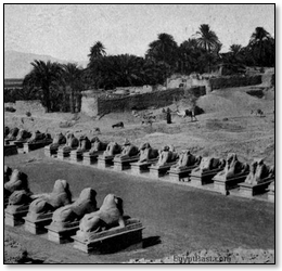 Stone Lions Guard a Sacred Way