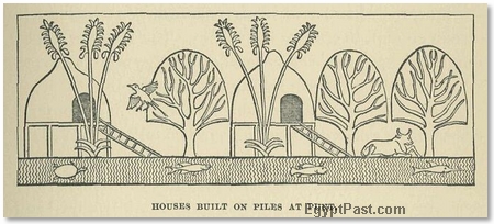 Houses Built on Piles